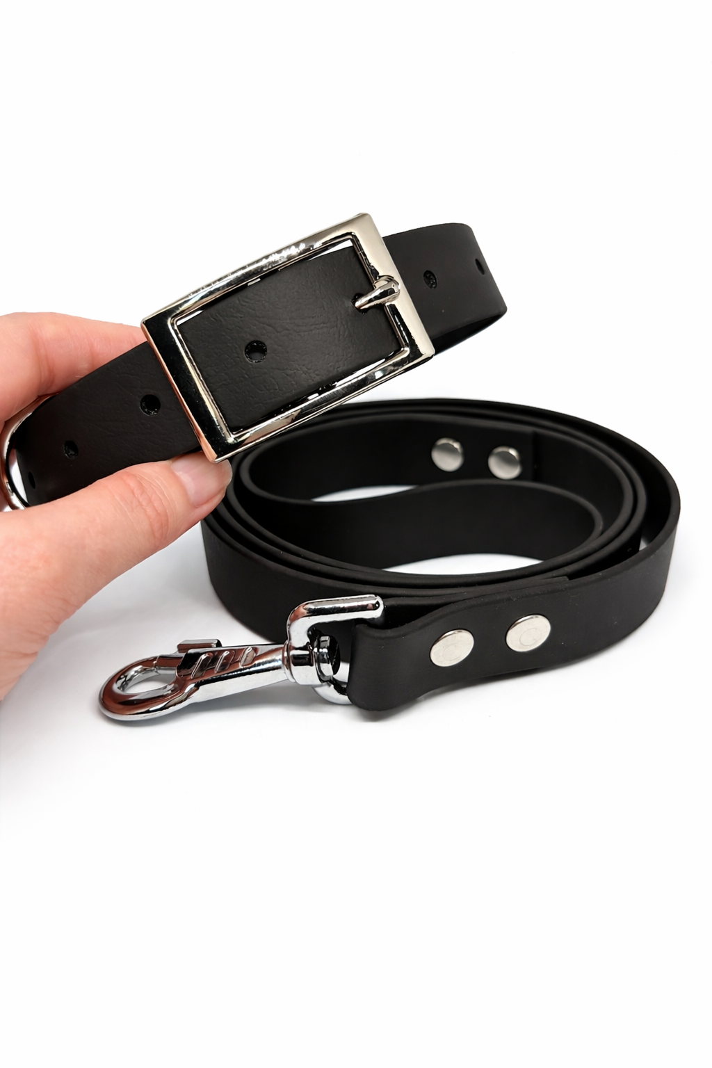 Collier et laisse en Biothane personnalisé