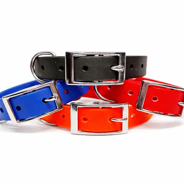 Collier et laisse en Biothane personnalisé