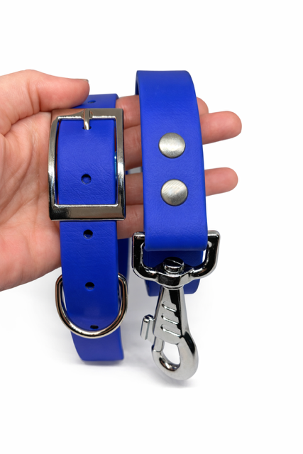 Collier, laisse et médaille gravée en Biothane