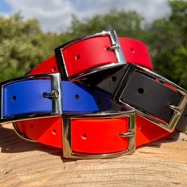 Collier et laisse en Biothane personnalisé