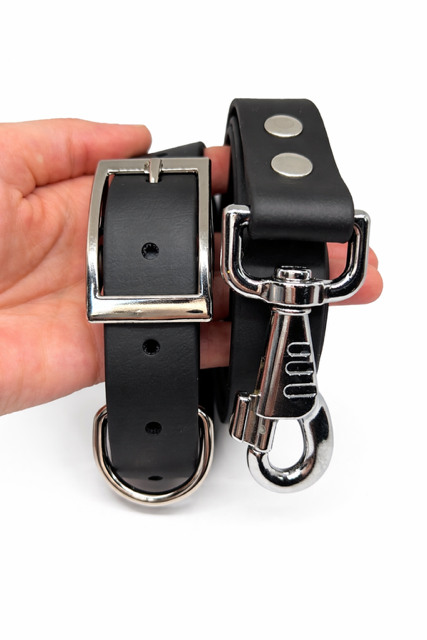 Collier, laisse et médaille gravée en Biothane