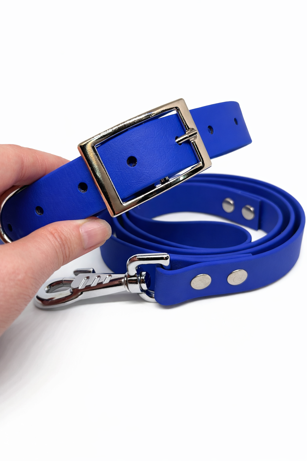 Collier et laisse en Biothane personnalisé