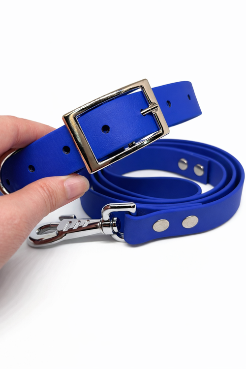 Collier pour chien personnalisable avec laisse assortie
