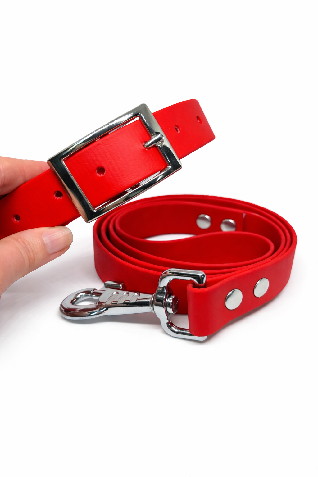 Collier et laisse en Biothane personnalisé