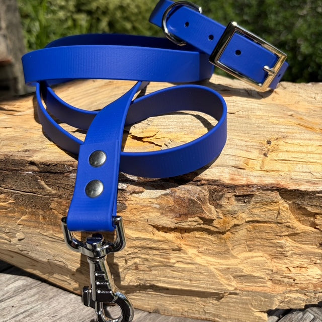 Collier, laisse et médaille gravée en Biothane