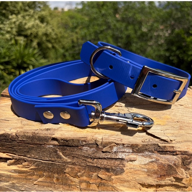 Collier et laisse en Biothane personnalisé