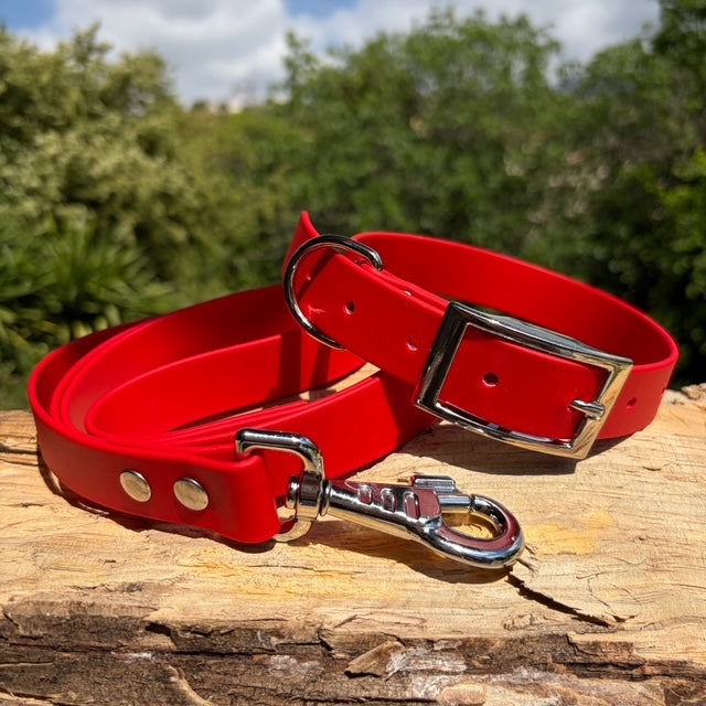 Collier et laisse en Biothane personnalisé