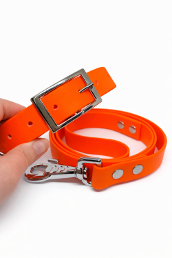 Collier et laisse en Biothane personnalisé