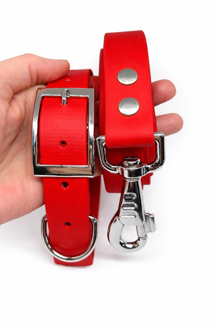 Collier, laisse et médaille gravée en Biothane