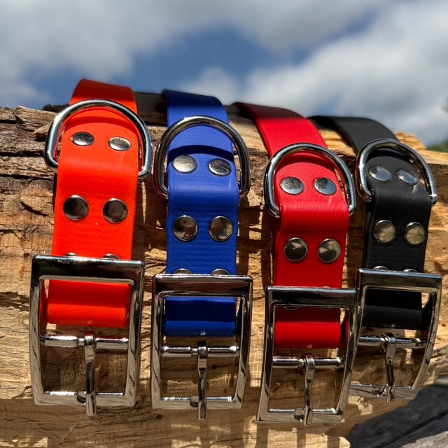 Collier et laisse en Biothane personnalisé